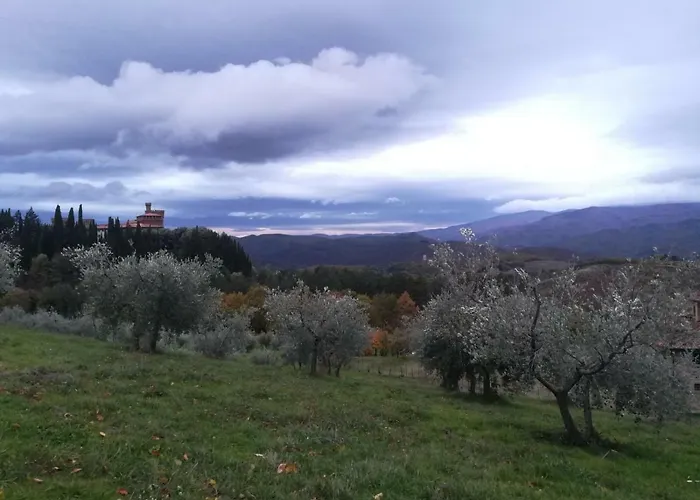 Castello Di Valenzano مزرعة للإقامة أريتسو