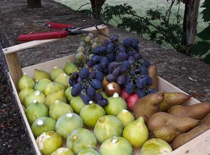 مزرعة للإقامة Castello Di Valenzano