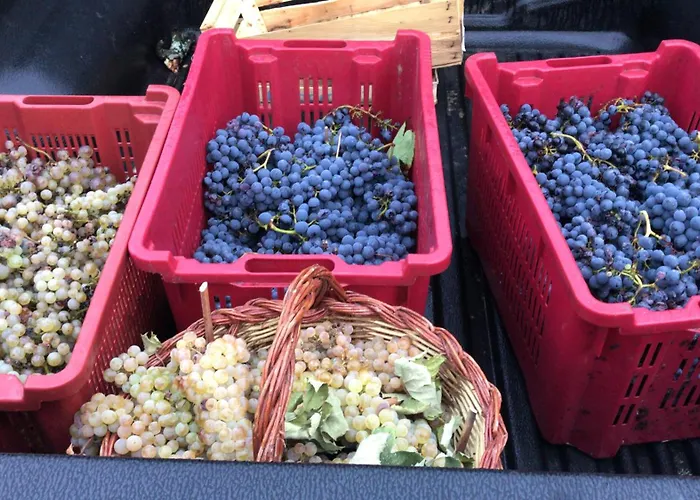 مزرعة للإقامة Castello Di Valenzano